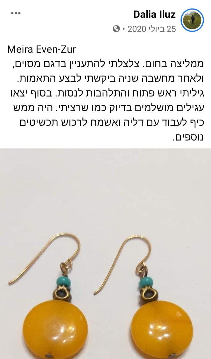 ממליצים