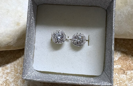 Silver Earrings with the tiger stone
